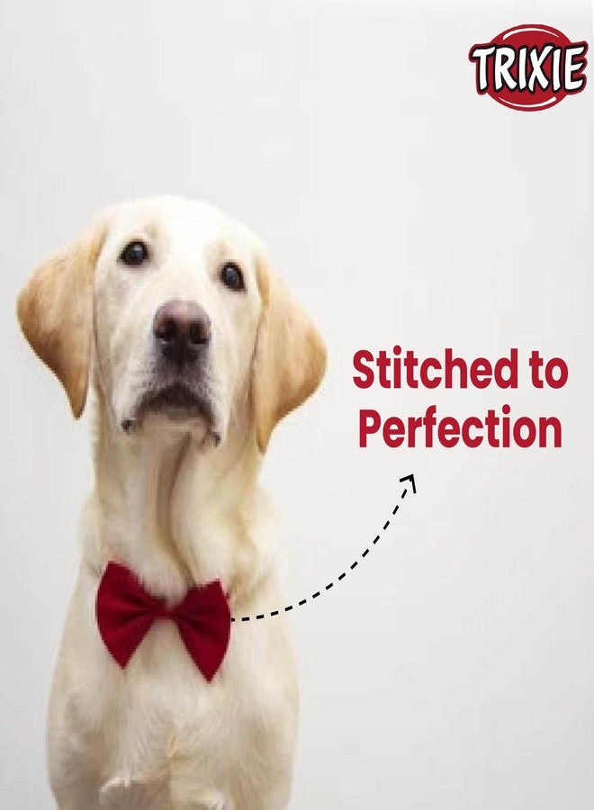 Trixie Adjustable and Easy to Wear Christmas Suit Assorted Bow Tie for Dogs for Grooming and Fashion - Image 3